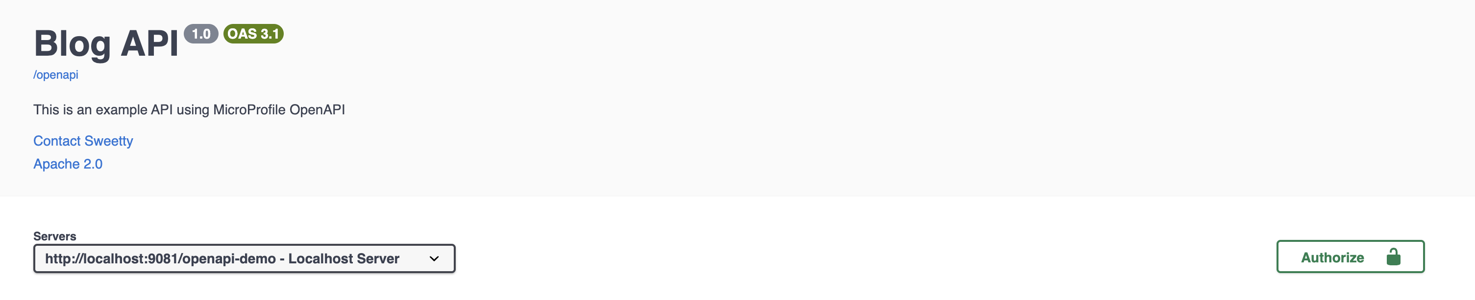 API Metadata Definitions