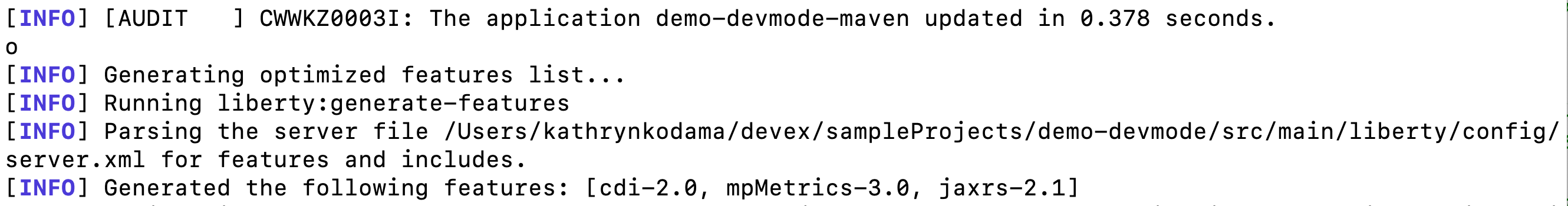 Open Liberty dev mode optimizing features generated